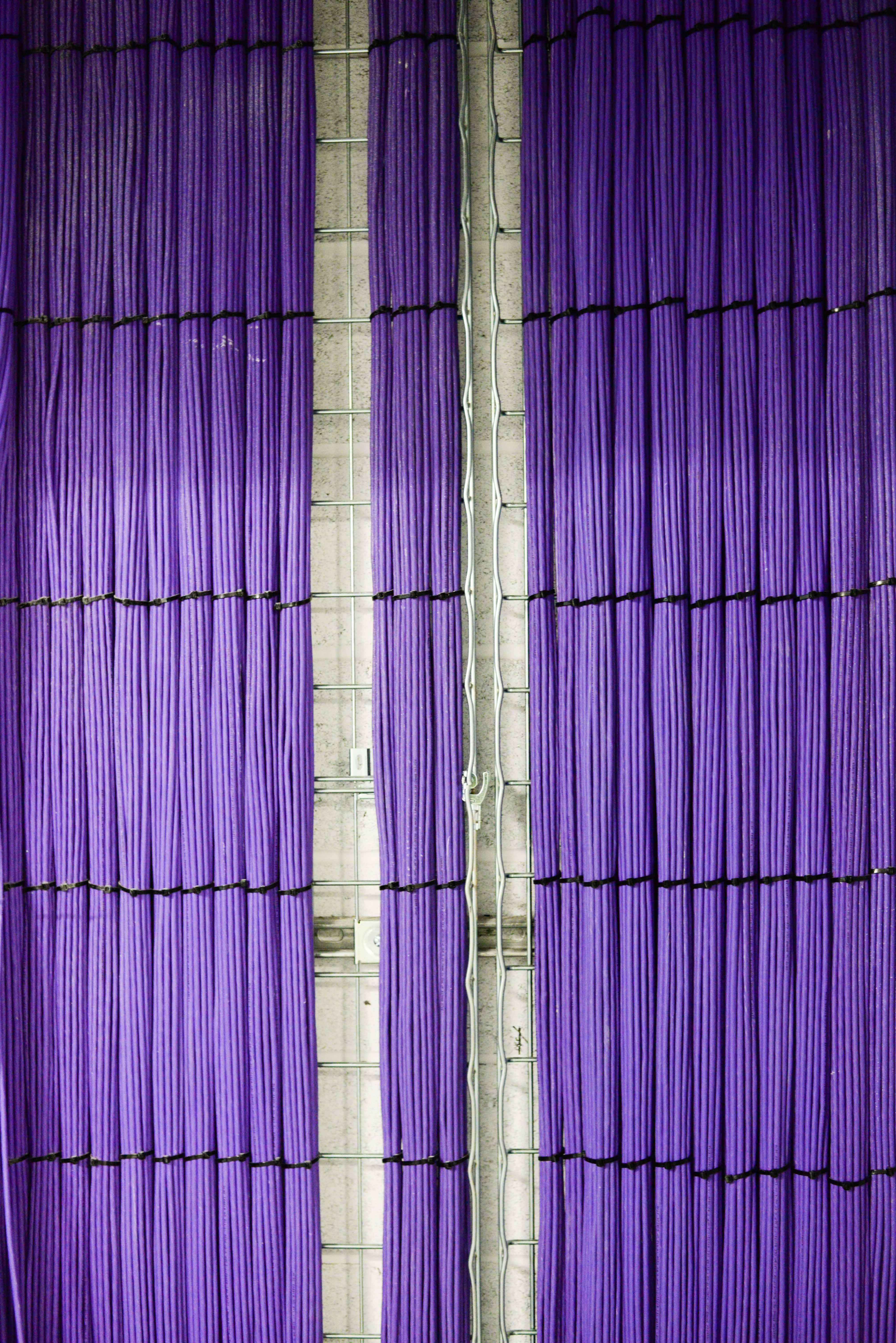 Image of purple pipes on a wall