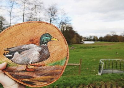 Image of a duck painted on a tree slice, the slice is being held by a person
