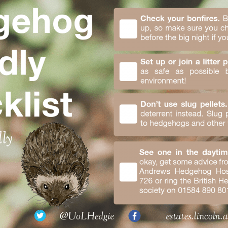 Image of hedgehog friendly checklist post
