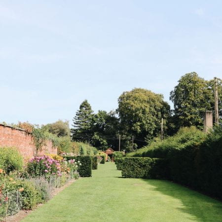 Image of bedded plants and a walled garden