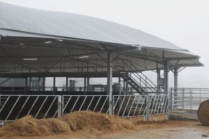 Image of a round animal shed with cows inside