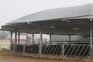 Image of a round animal shed with cows inside
