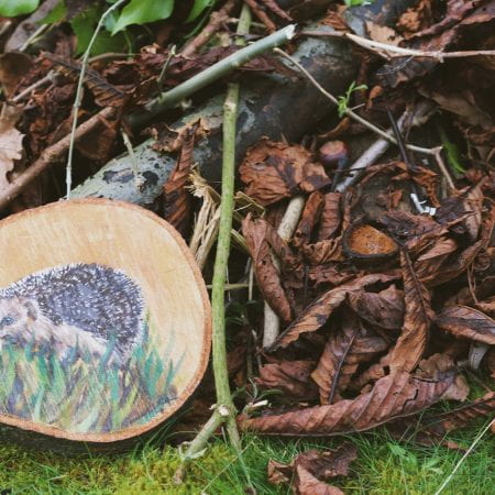 Image of a pile of logs, sticks, leaves and a painted hedgehog on a wooden slice