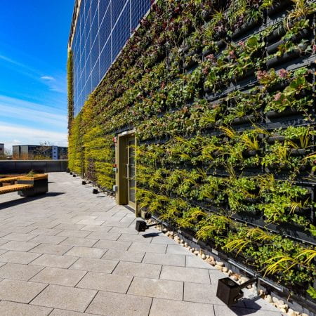 Image of a roof garden, a living wall featuring many plants and also solar panels hugs the side of the building.