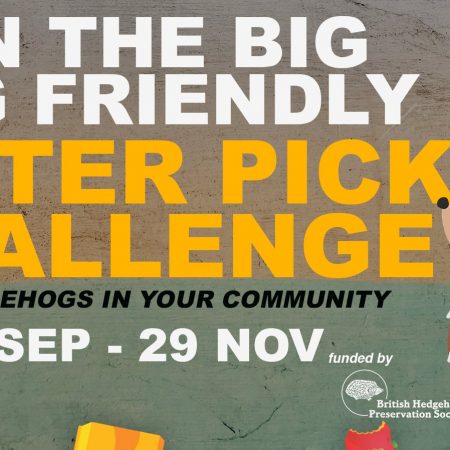 Image of an illustrated hedgehog, words read: Join the big hog friendly litter pick challenge. Help hedgehogs in your community. 20th Sept - 29th Nov