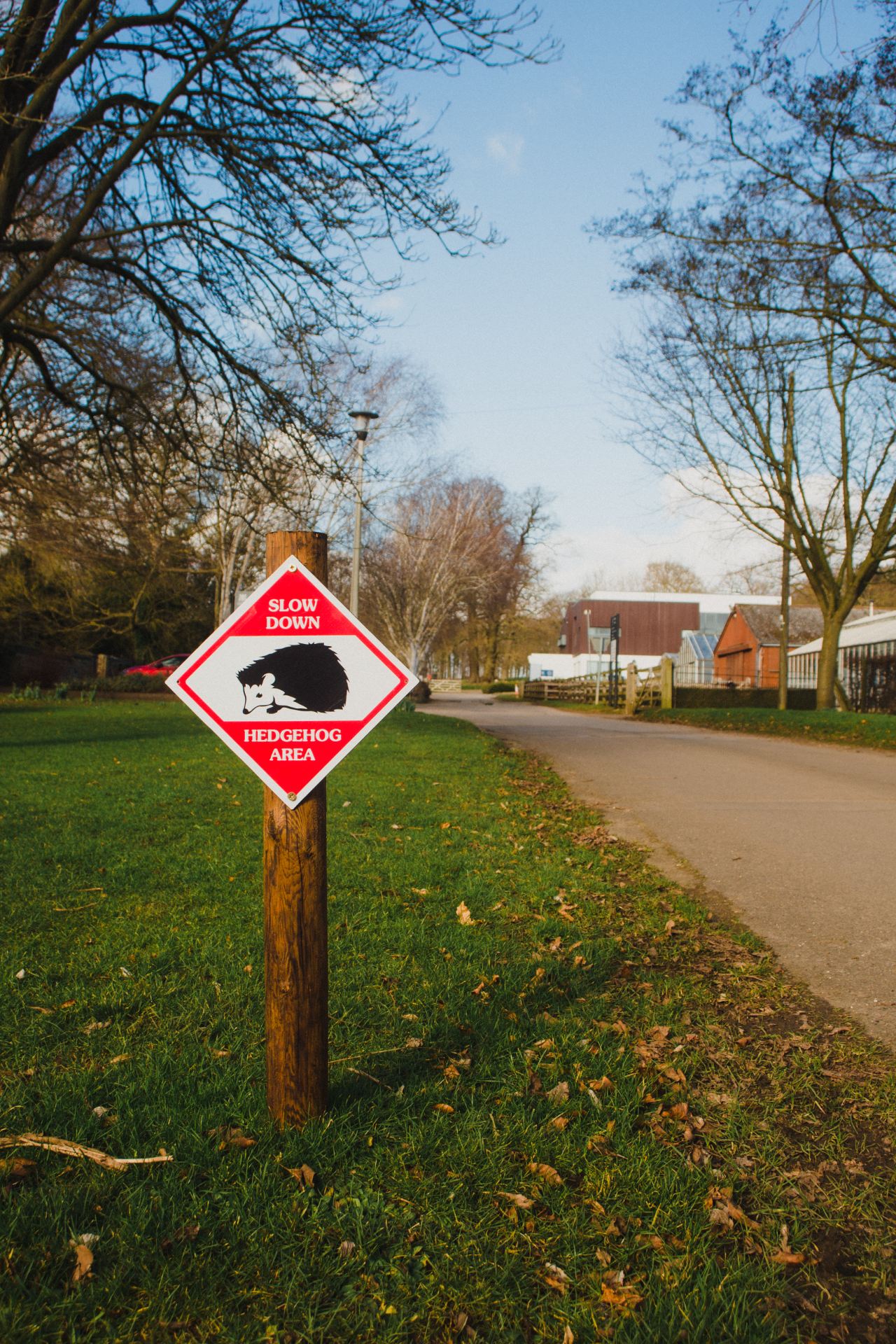 Image of a "slow down, hedgehog area" red road sign on a post next to a country road