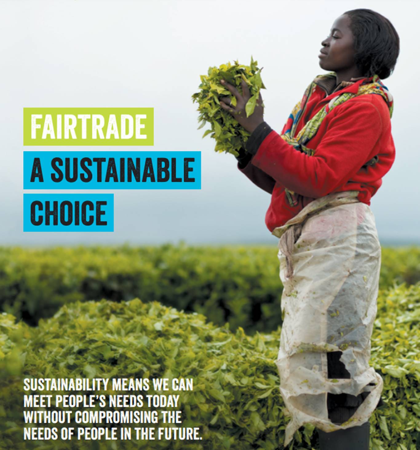 Graphic imahe of a person holding some fairtrade crops