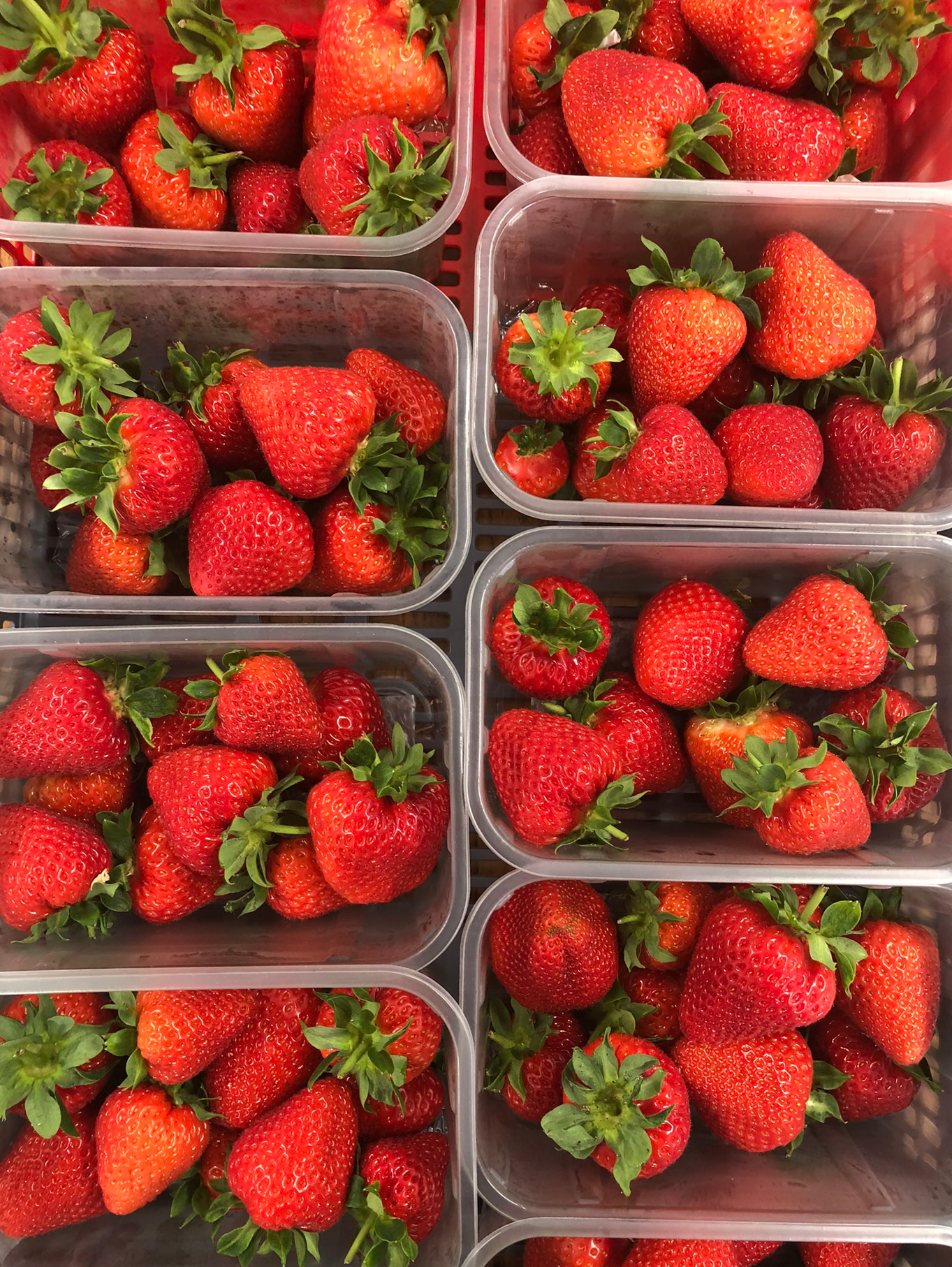 Image of punnets of red strawberries