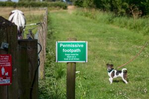 a dog is on a lead behind a permissive footpath sign