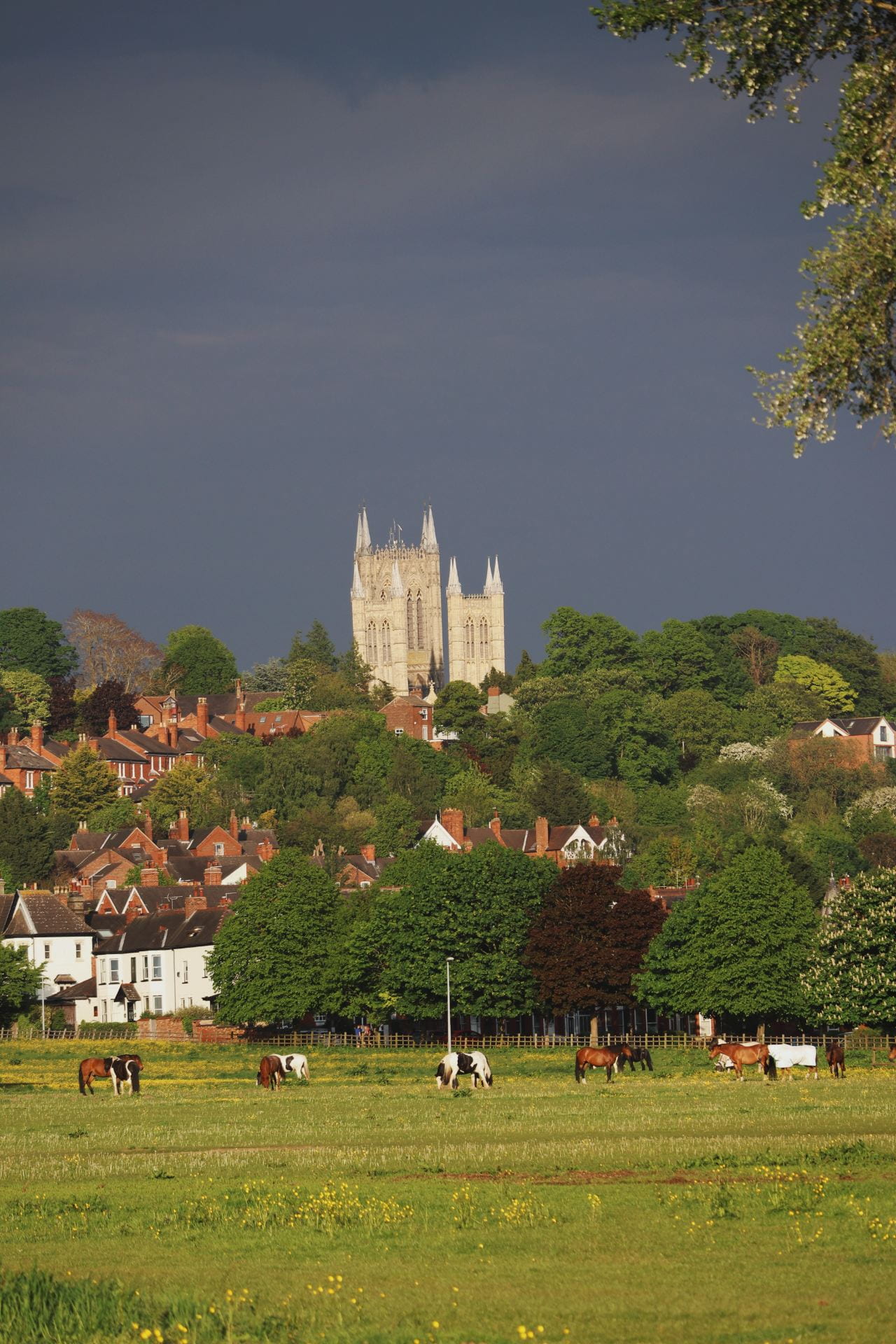 A cathedral against a grey stormy sky with a vast field of common land in the foreground. Horses and trees are there.